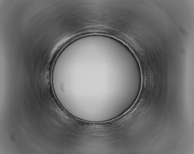 X0000113781164200909231035
