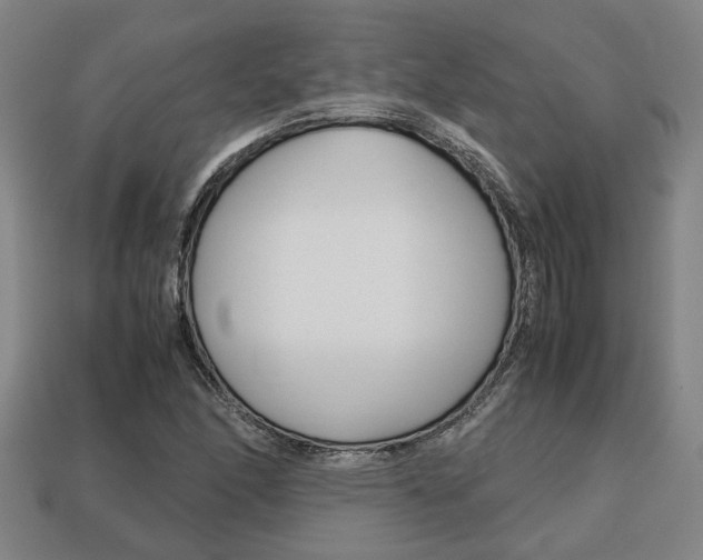 X0000113781166200909231035