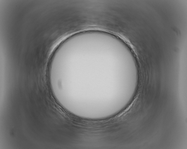 X0000113781167200909231035