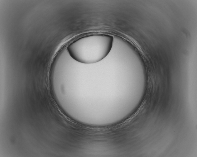 X0000113781168200909231035