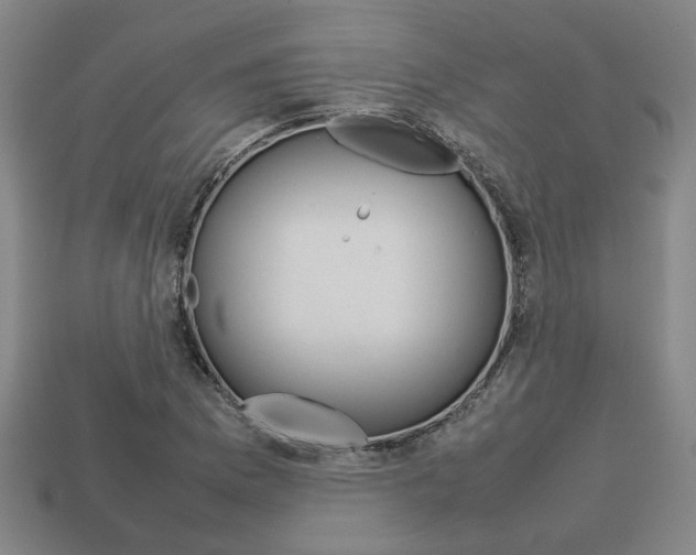 X0000113781169200909231035