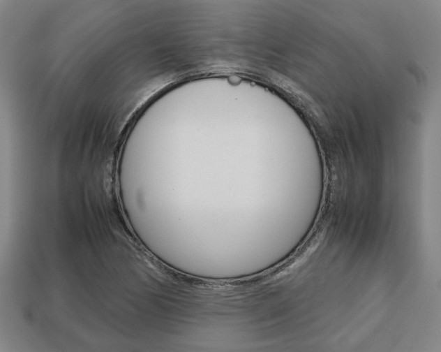 X0000113781170200909231035