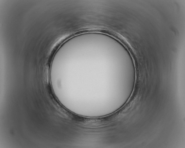 X0000113781171200909231035