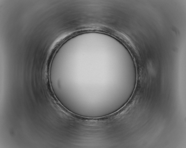 X0000113781172200909231035