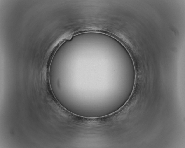 X0000113781173200909231035