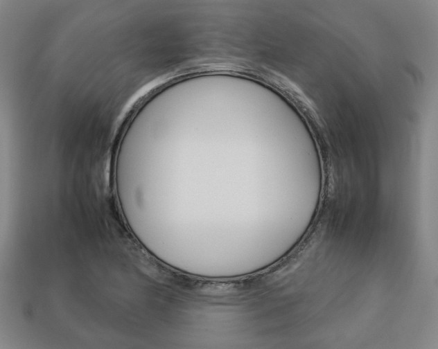 X0000113781174200909231035