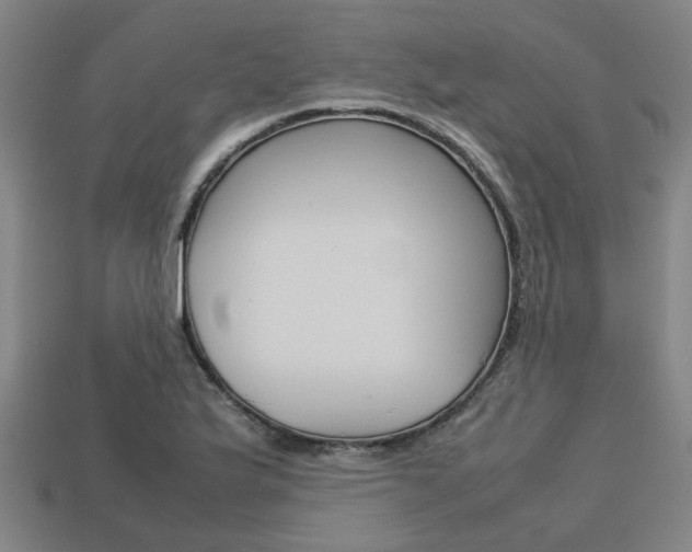 X0000113781175200909231035