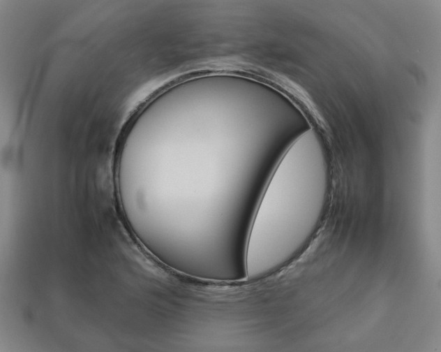 X0000113781176200909231035