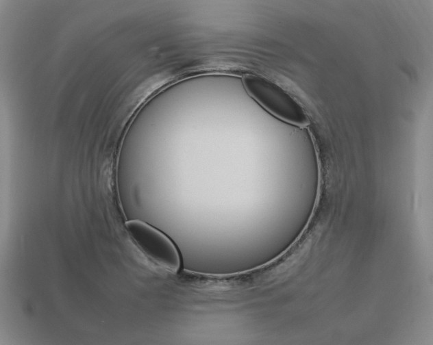 X0000113781177200909231035