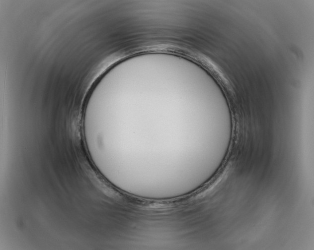 X0000113781178200909231034