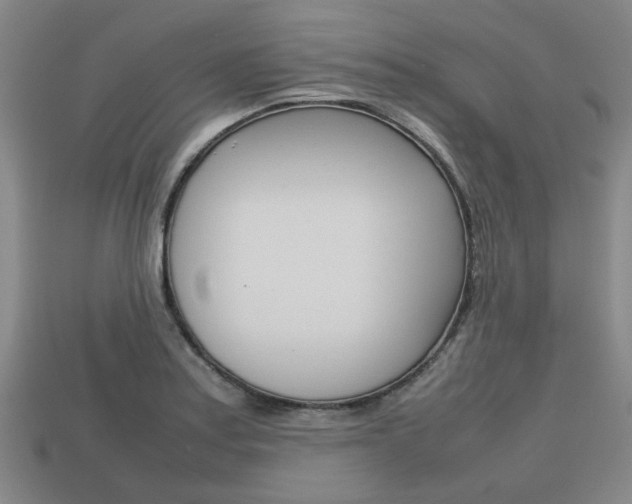 X0000113781179200909231034