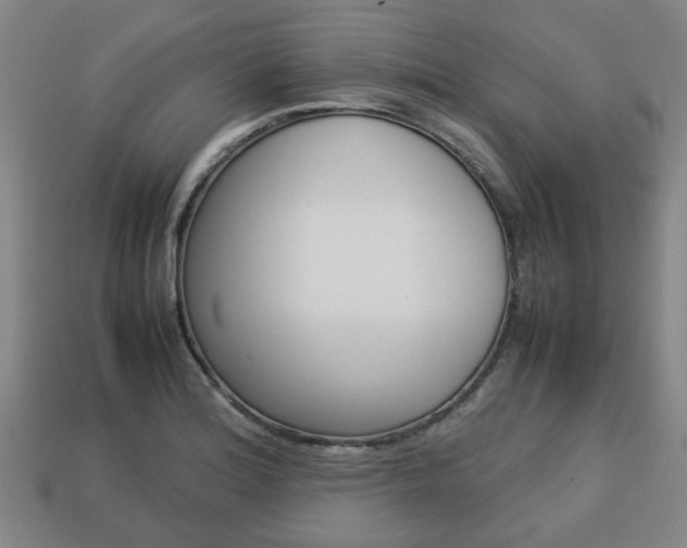 X0000113781180200909231034