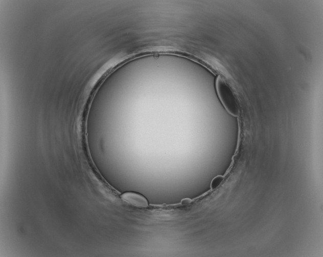 X0000113781181200909231034