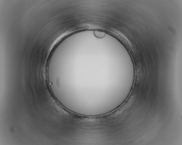 X0000113781182200909231034