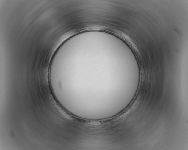 X0000113781186200909231034