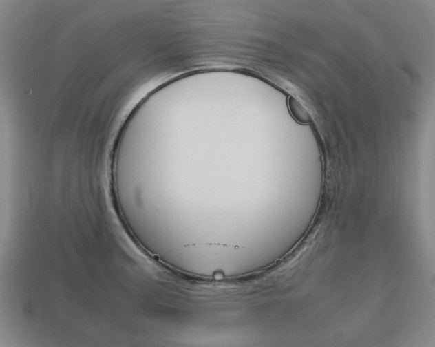X0000113781187200909231034