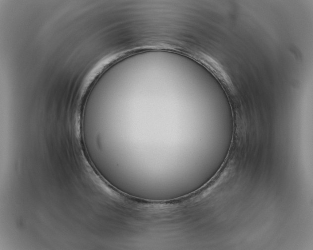 X0000113781188200909231034