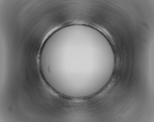 X0000113781190200909231034