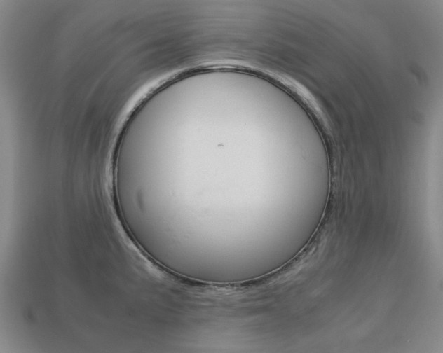 X0000113781191200909231034