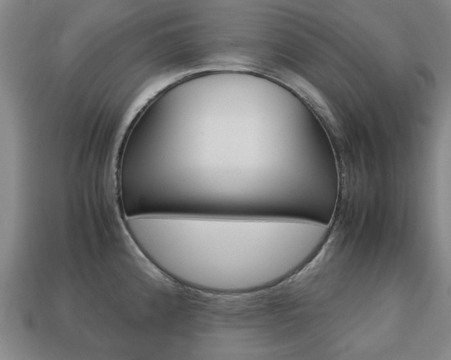 X0000113781192200909231034