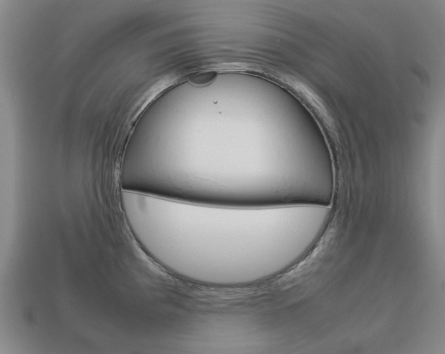 X0000113781193200909231034