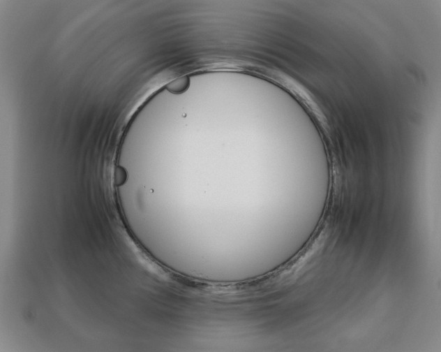 X0000113781194200909231034