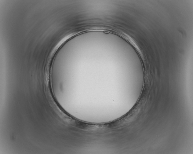 X0000113781195200909231034