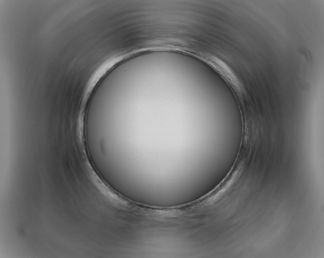 X0000113781196200909231034