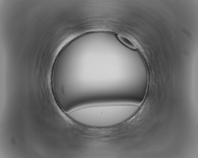 X0000113781197200909231034