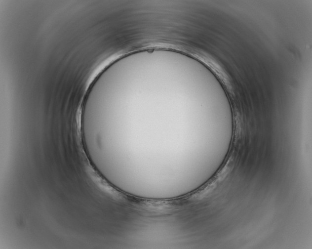 X0000113781198200909231034