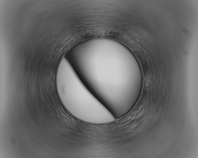X0000113781202200909231034