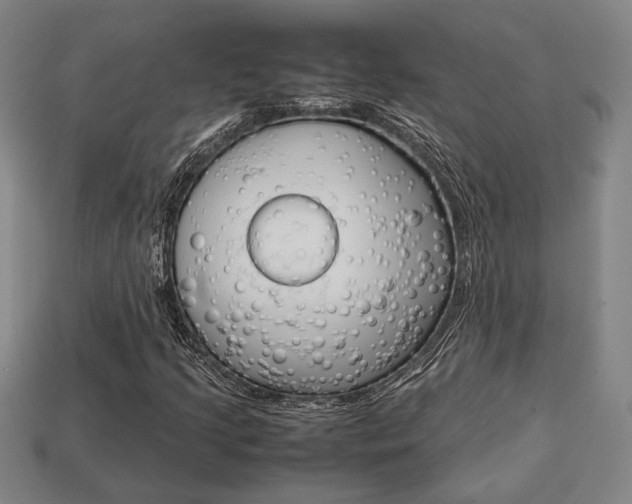 X0000113781205200909231034