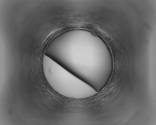X0000113781206200909231034