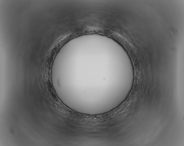 X0000113781207200909231034
