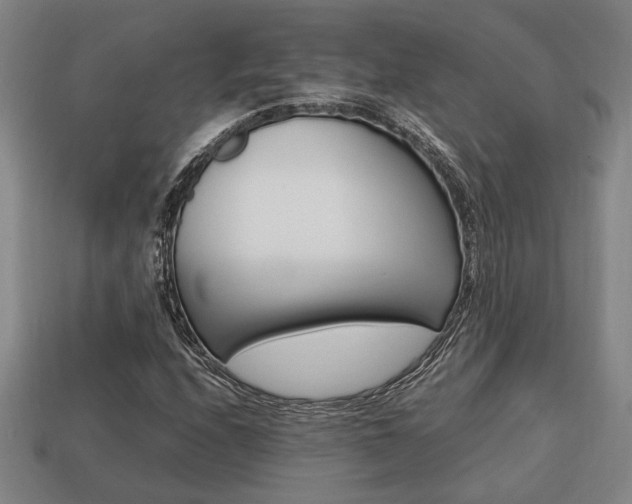 X0000113781208200909231034