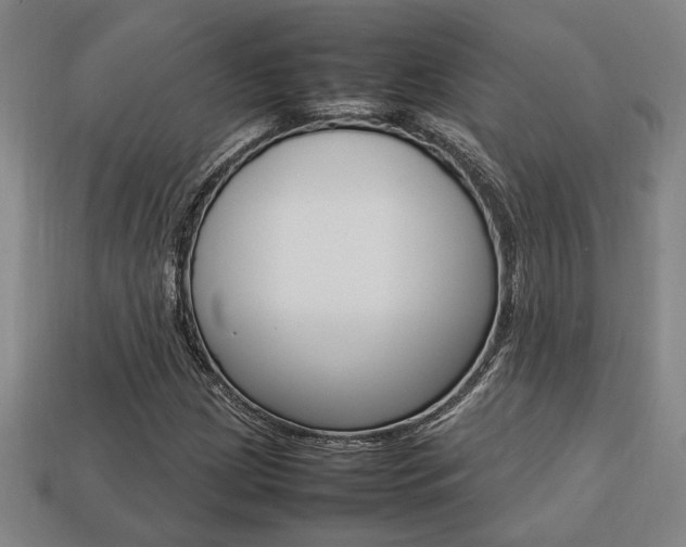 X0000113781209200909231034