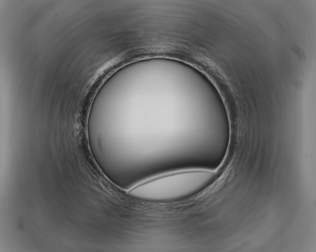 X0000113781210200909231034