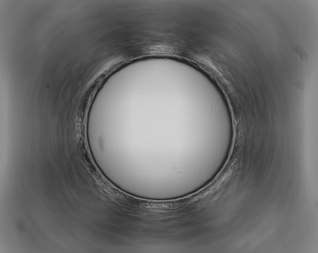 X0000113781211200909231034