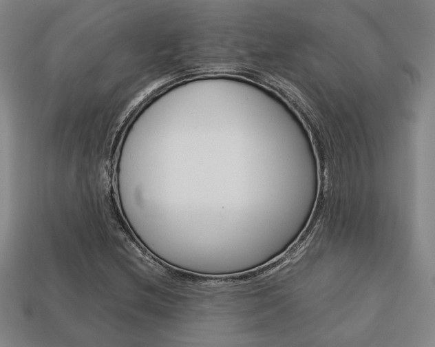 X0000113781212200909231034