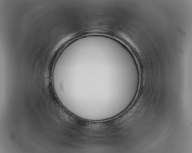 X0000113781213200909231034