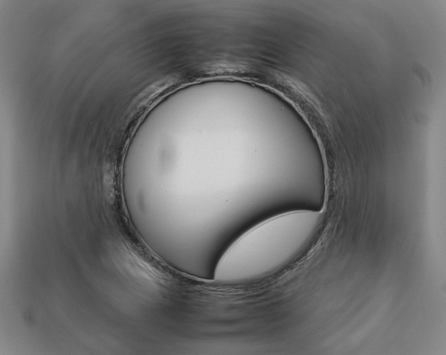 X0000113781217200909231034