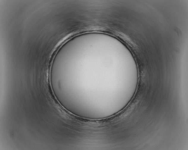 X0000113781220200909231034