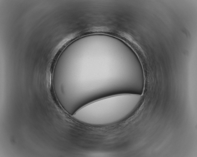 X0000113781221200909231034