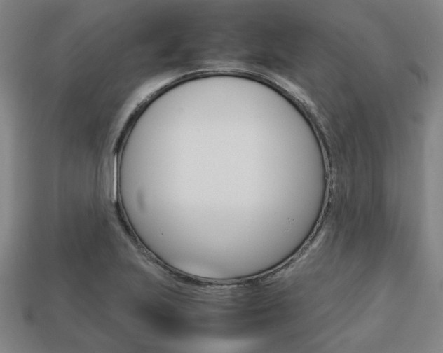 X0000113781223200909231034
