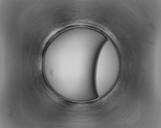 X0000113781224200909231034