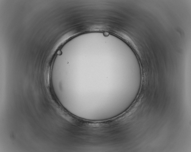 X0000113781227200909231034