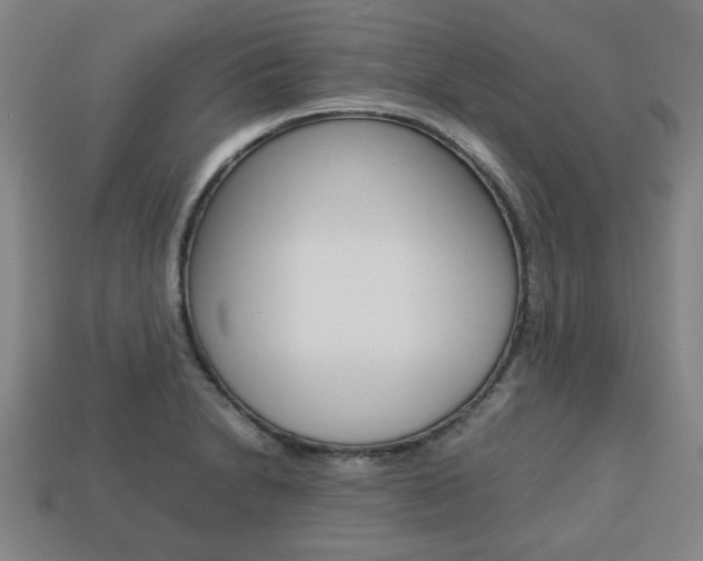 X0000113781230200909231034