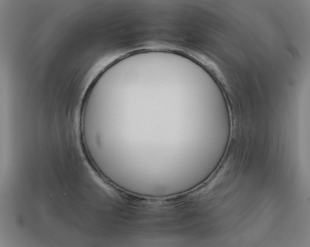X0000113781231200909231034