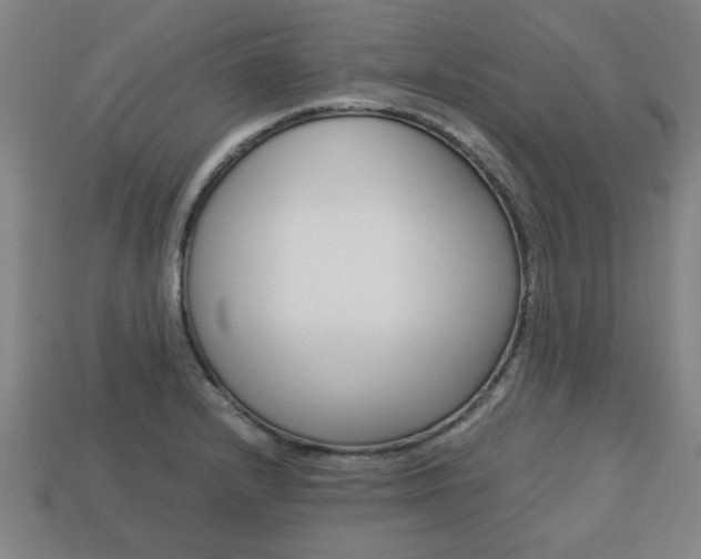 X0000113781232200909231034