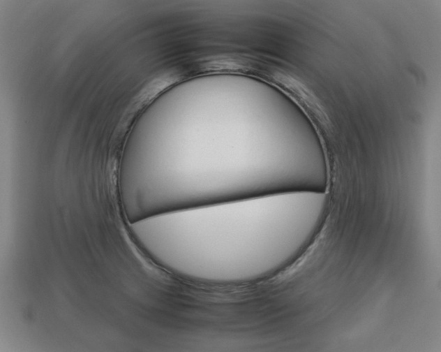 X0000113781233200909231034